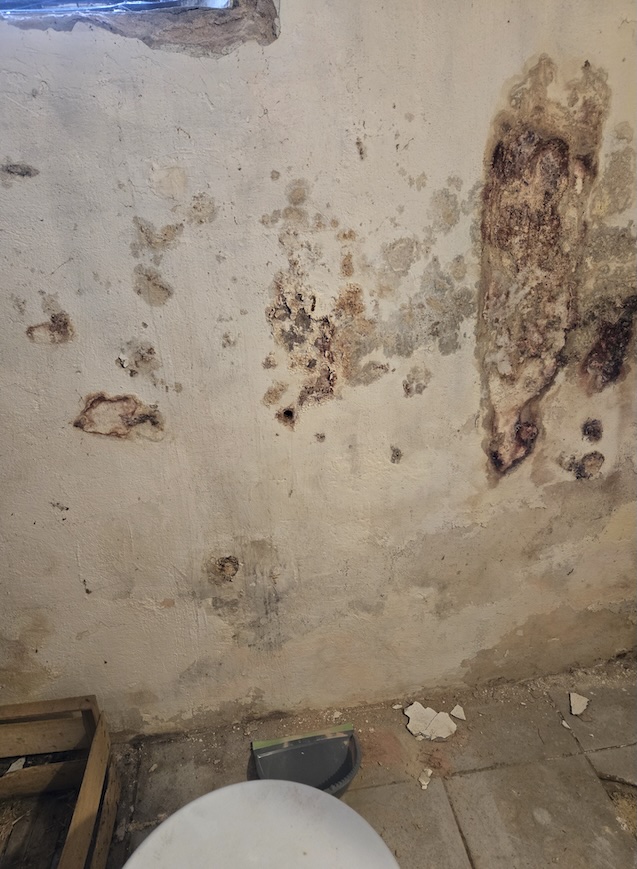 Mur intérieur avec taches d'humidité et moisissures